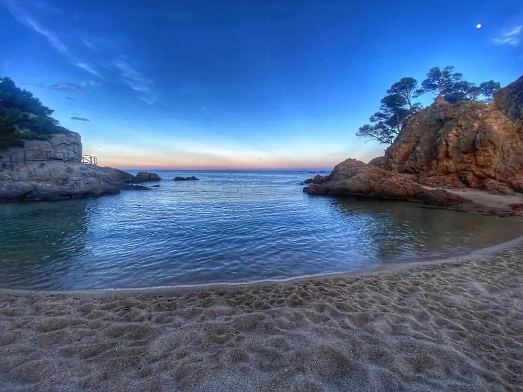 Apartment Direct Beachpetfriendly By Rinconesmediterraneos Calonge