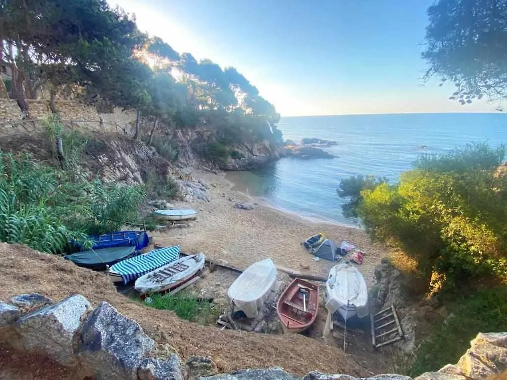 Direct Beachpetfriendly By Rinconesmediterraneos Calonge  Spain