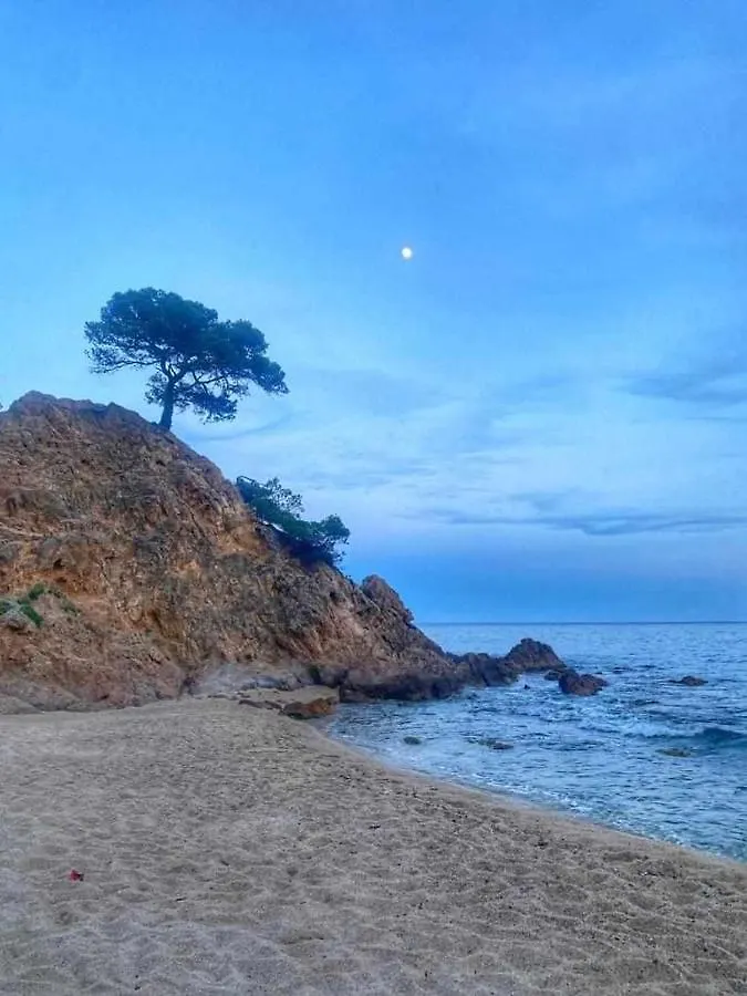 Direct Beachpetfriendly By Rinconesmediterraneos Calonge  Spain