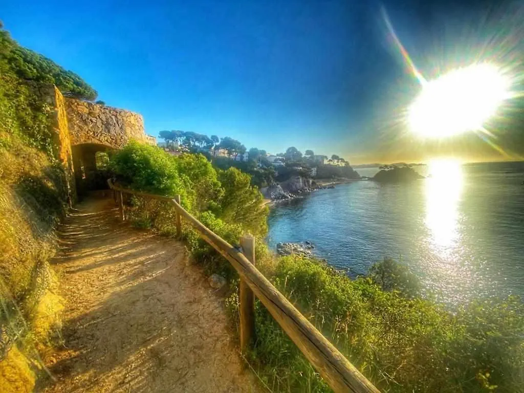 Direct Beachpetfriendly By Rinconesmediterraneos Calonge  Calonge (Catalonia)